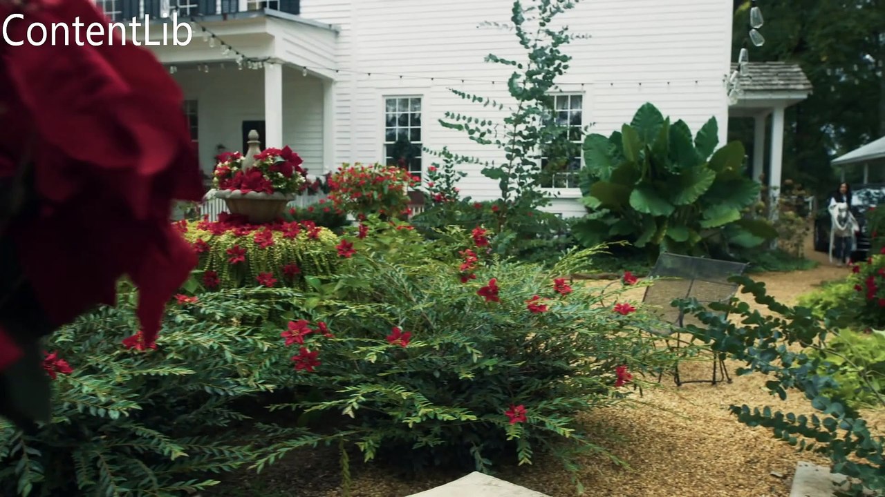 a.perfect.christmas.pairing.2023 Full Hallmark Romantic Movie