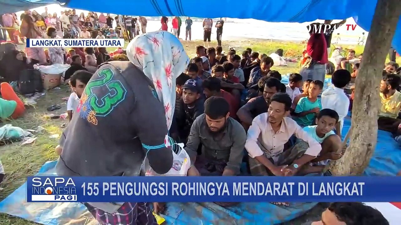 Benarkah Indonesia Tak Punya Kewajiban Tampung Rohingya? Ini Kata Pakar Hukum Internasional