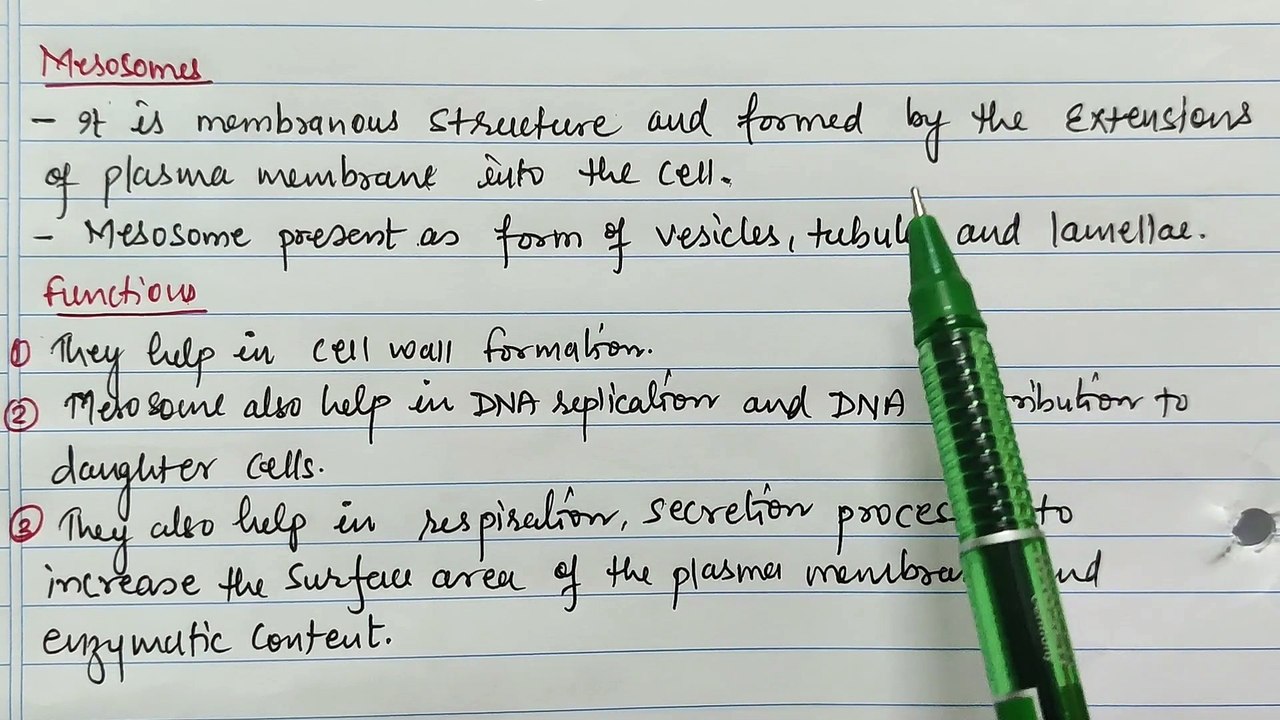 What is Pili in Bacteria?