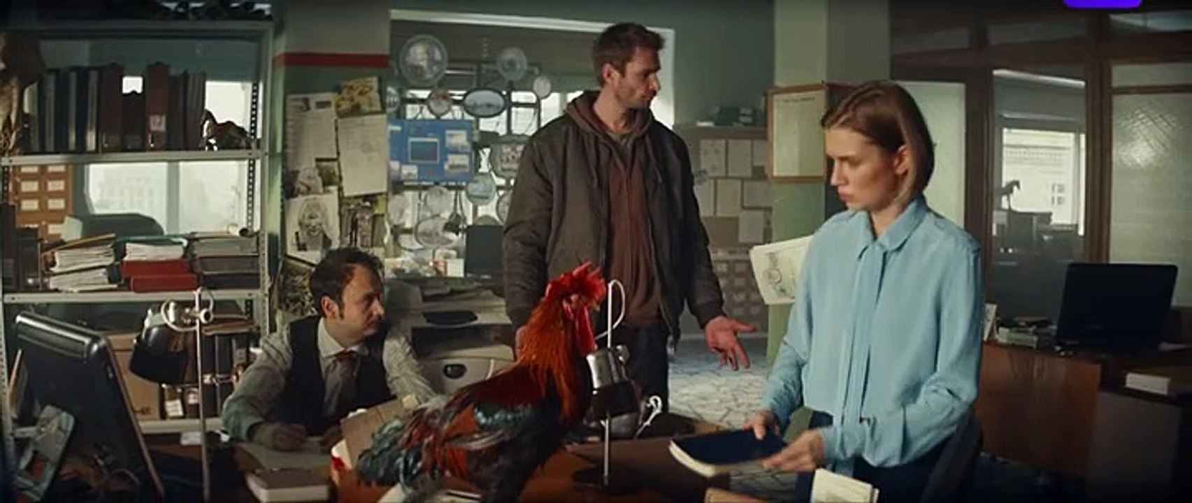 Волшебный участок.E06.2023.