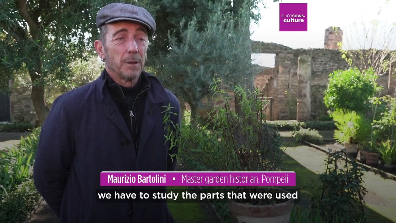 Dyeing to remember: Pompeii's ancient textile techniques resurrected in modern day