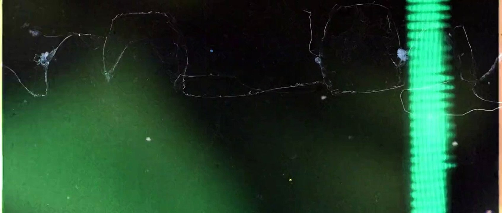 Ampeter ficha por Kick