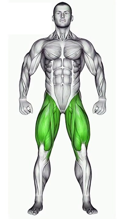 Unleash Legs Power #legworkout  #legday  #fitnessmotivation  #gymjourney  #shorts #shortvideo #legs