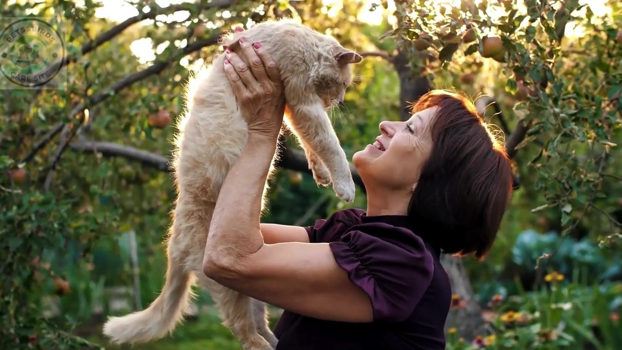 Benefits of raising cats | At home #pets_birds #raisingcats #raising_cats