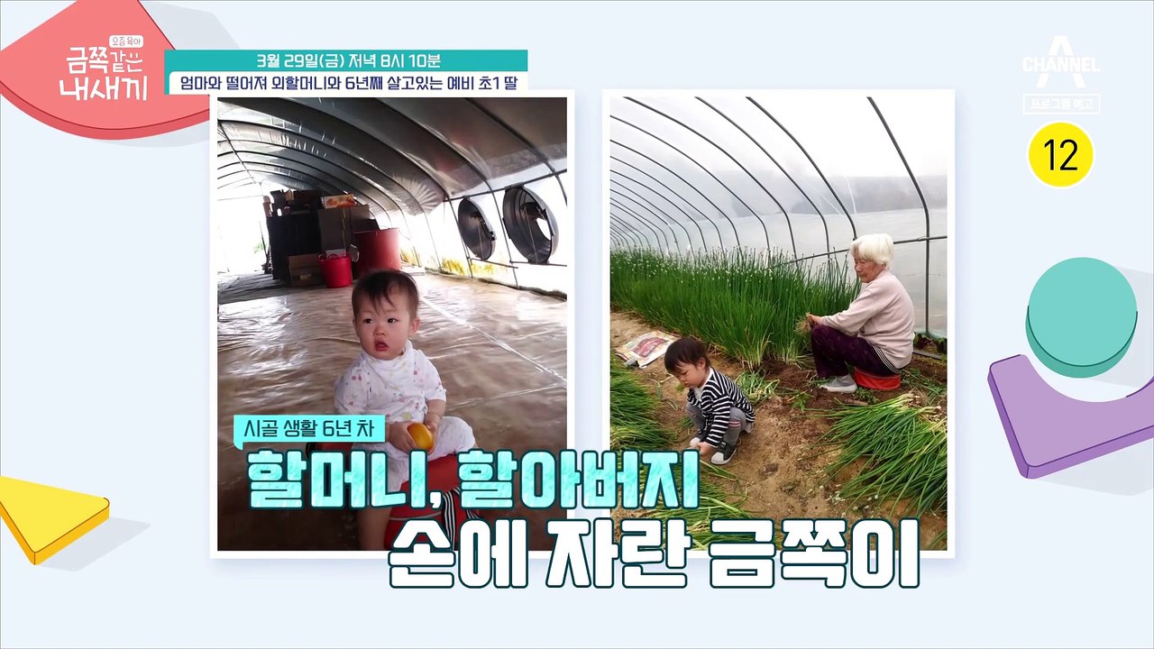 [예고] 금쪽이를 액세서리로 취급한다?! 6년째 부모와 떨어져 지내는 이유ㅠㅠ