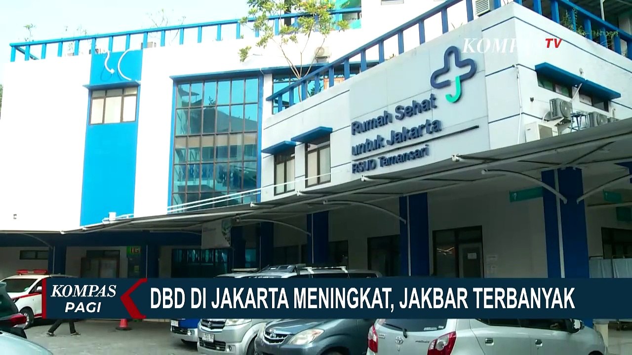Kasus DBD di Jakarta Meningkat, Jakarta Barat Terbanyak!