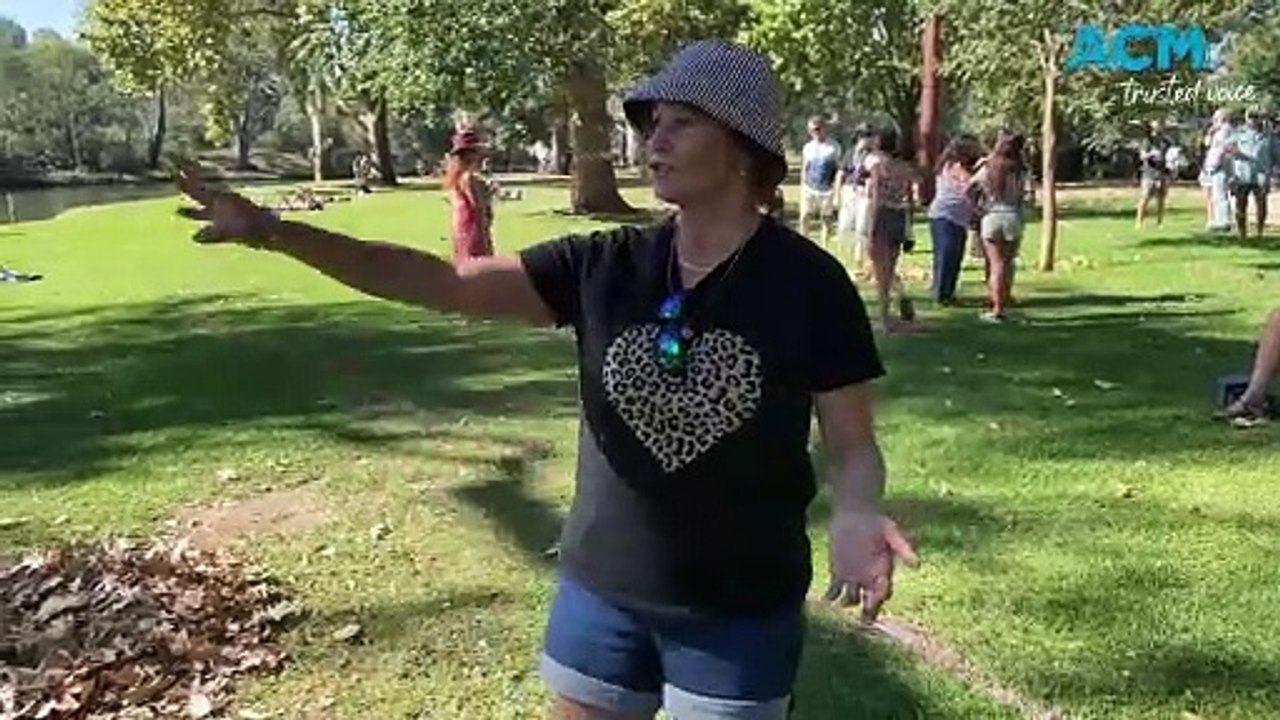 River user explains how much concrete would be used in Noreuil Park concept plan