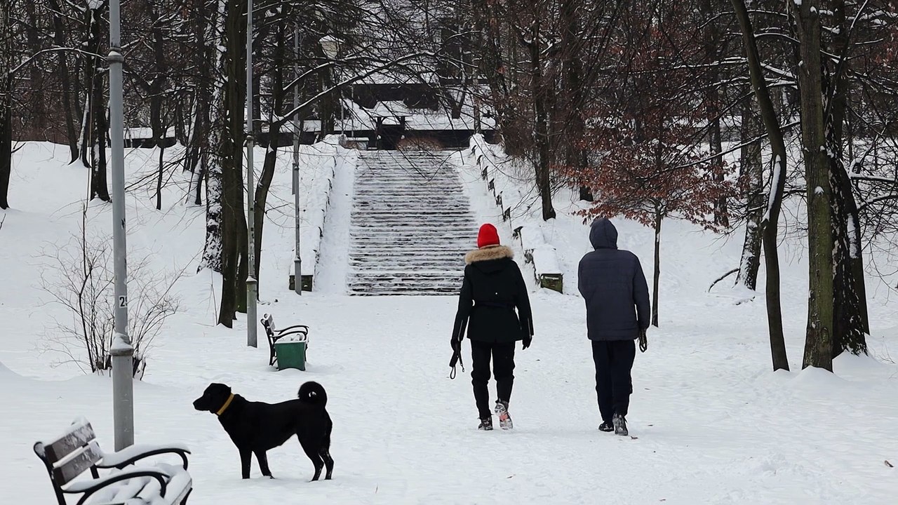 Zima w parku Kościuszki w Katowicach
