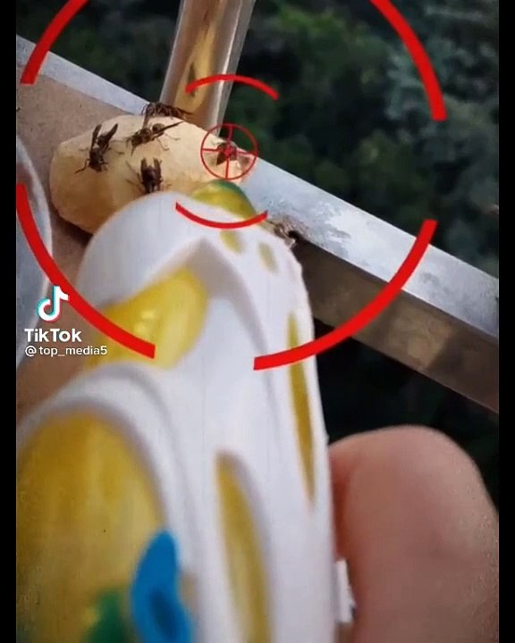 Chơi Ngu Là Có Thật