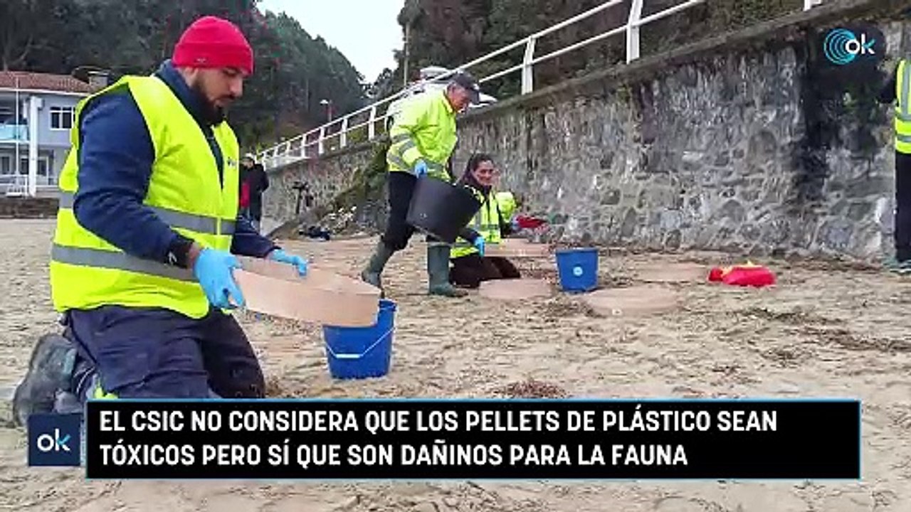 El CSIC no considera que los pellets de plástico sean tóxicos pero sí que son dañinos para la fauna