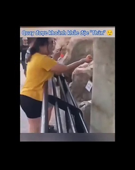 Độc Thân Là Như Này Phải Không