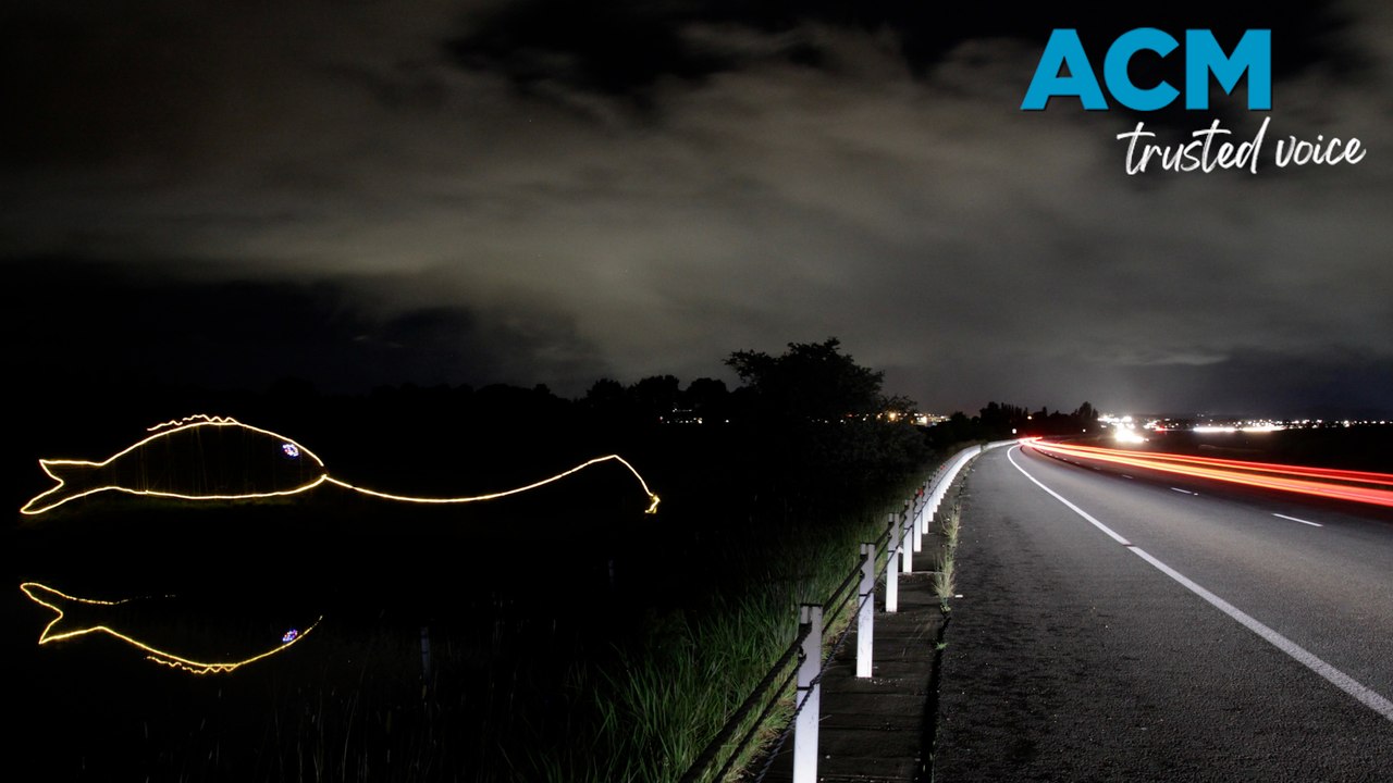 Meet Albert: Canberra's 'Big Fish' tourist attraction