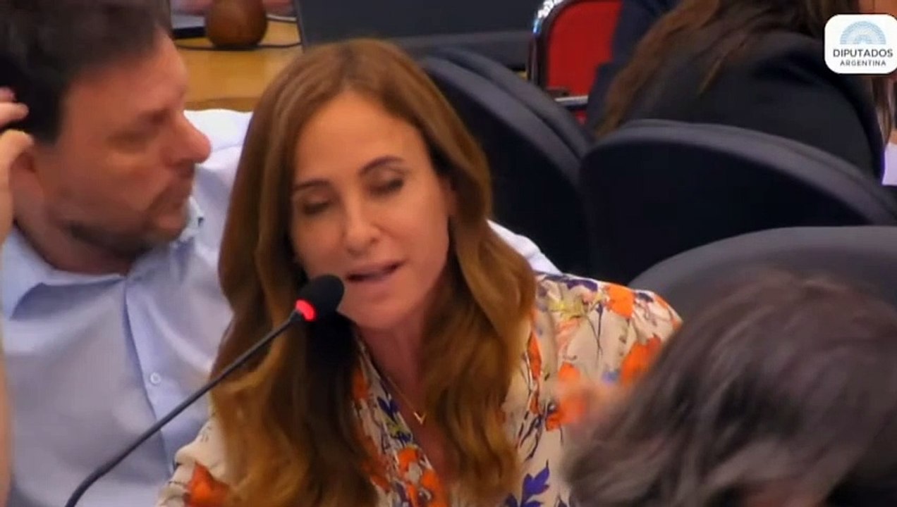 Cruce de Tolosa Paz y Guillermo Francos en Diputados