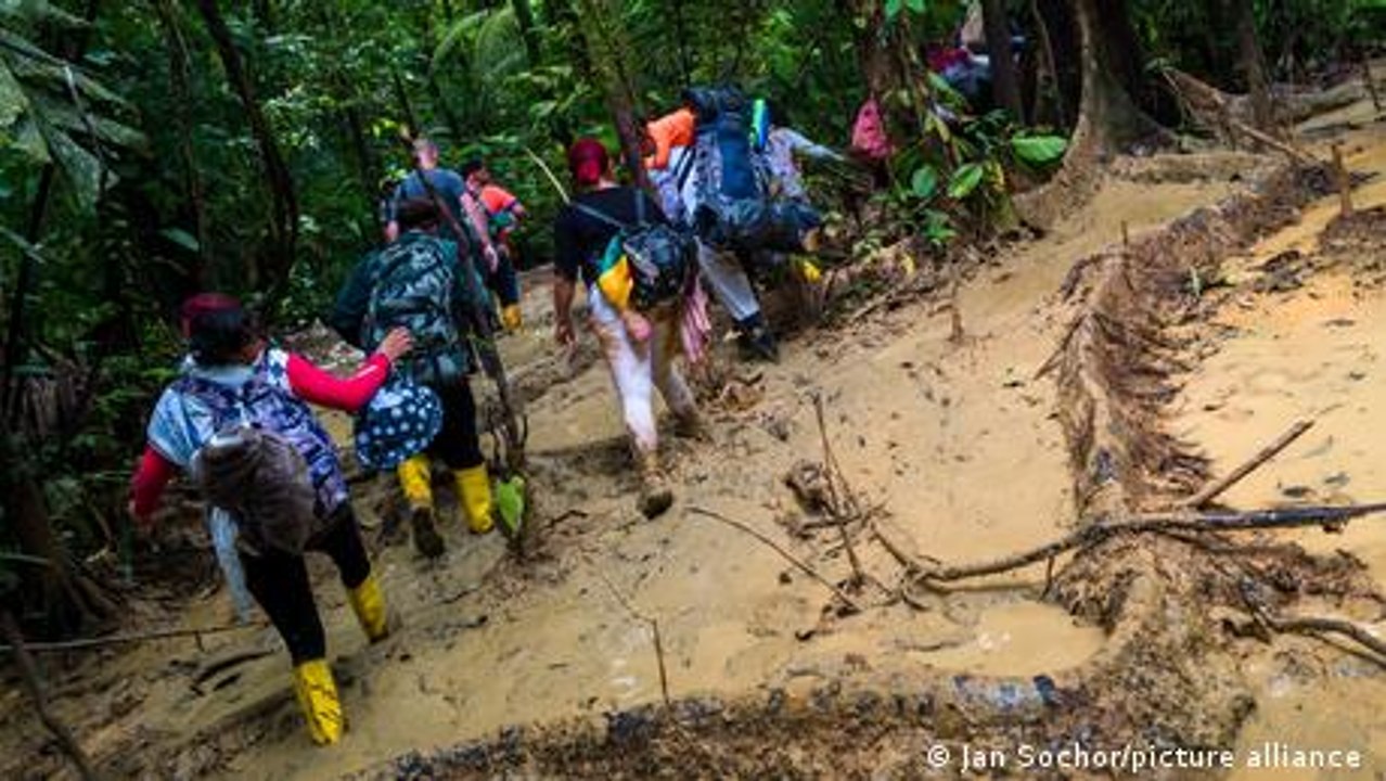 From refugee to refugee influencer