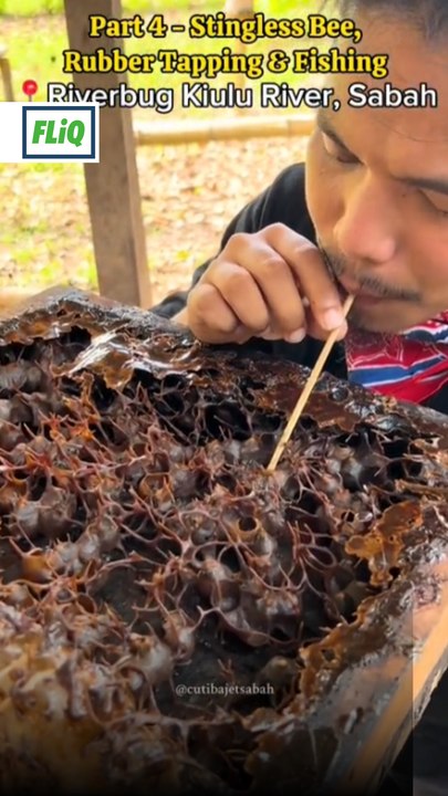 Madu kelulut asli dan mancing!