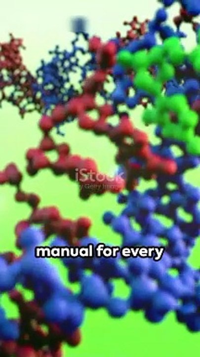What Is DNA? A Simple Explanation 🧬