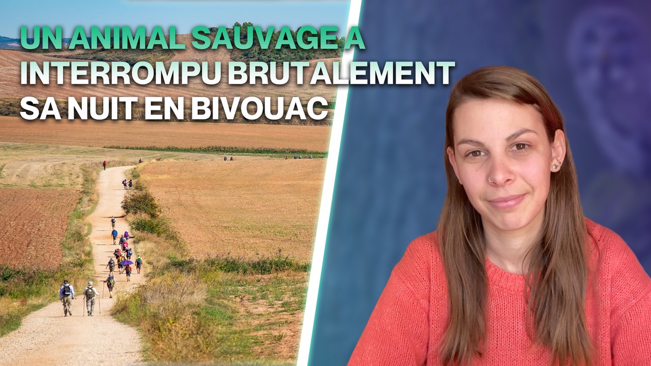 J'ai décidé de voyager seule vers Saint-Jacques-de-Compostelle