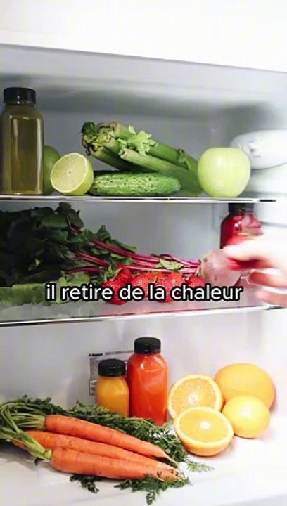 Le froid n’existe pas !