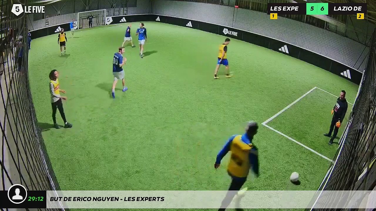 But de Erico NGUYEn - LES EXPERTS