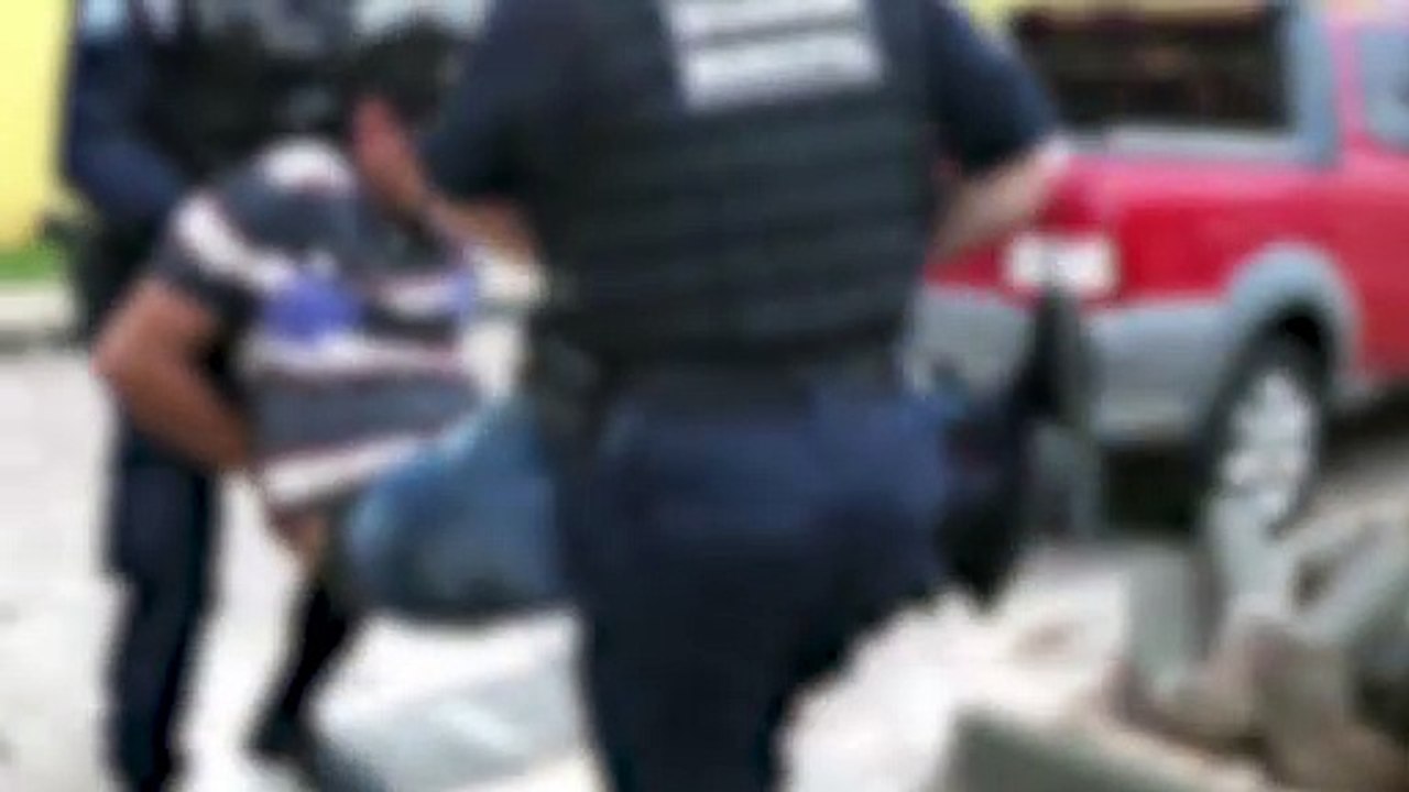 Ladrão defeca e urina no camburão após ser preso por tentar roubar cavalo e atacar GM com facão