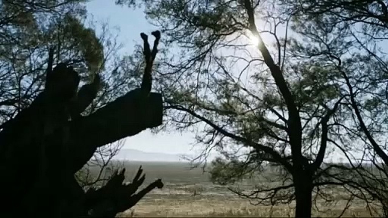 सबसे खतरनाक फिल्म Explained In Hindi __ The Furies (2019) Movie Explained In Hindi