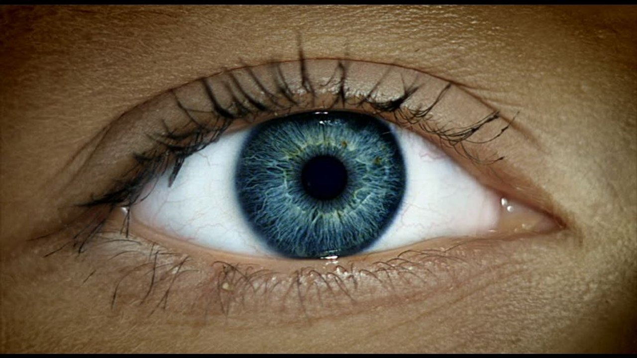 Fattore umano, AI: le sfide della cybersecurity secondo Sharp