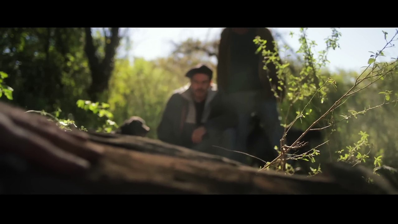 Cuando acecha la maldad (2023)