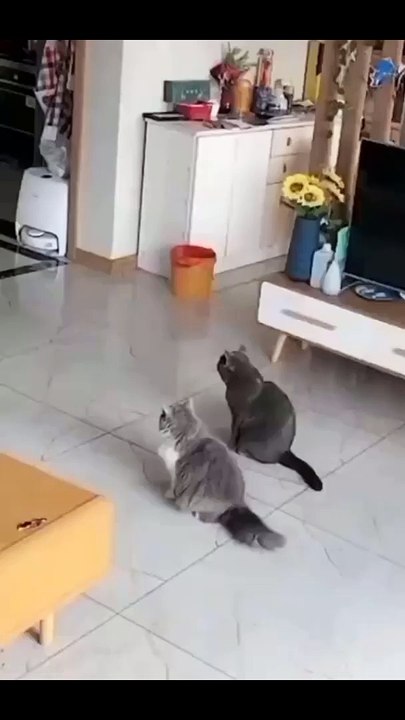 Tụi Này Cũng Biết Diễn Đó Chứ