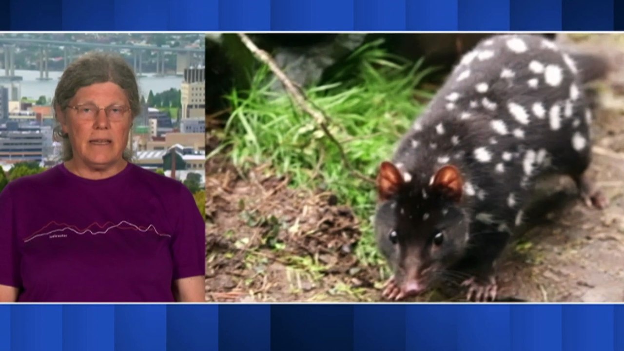 Decline in predators is causing genetic shift in species