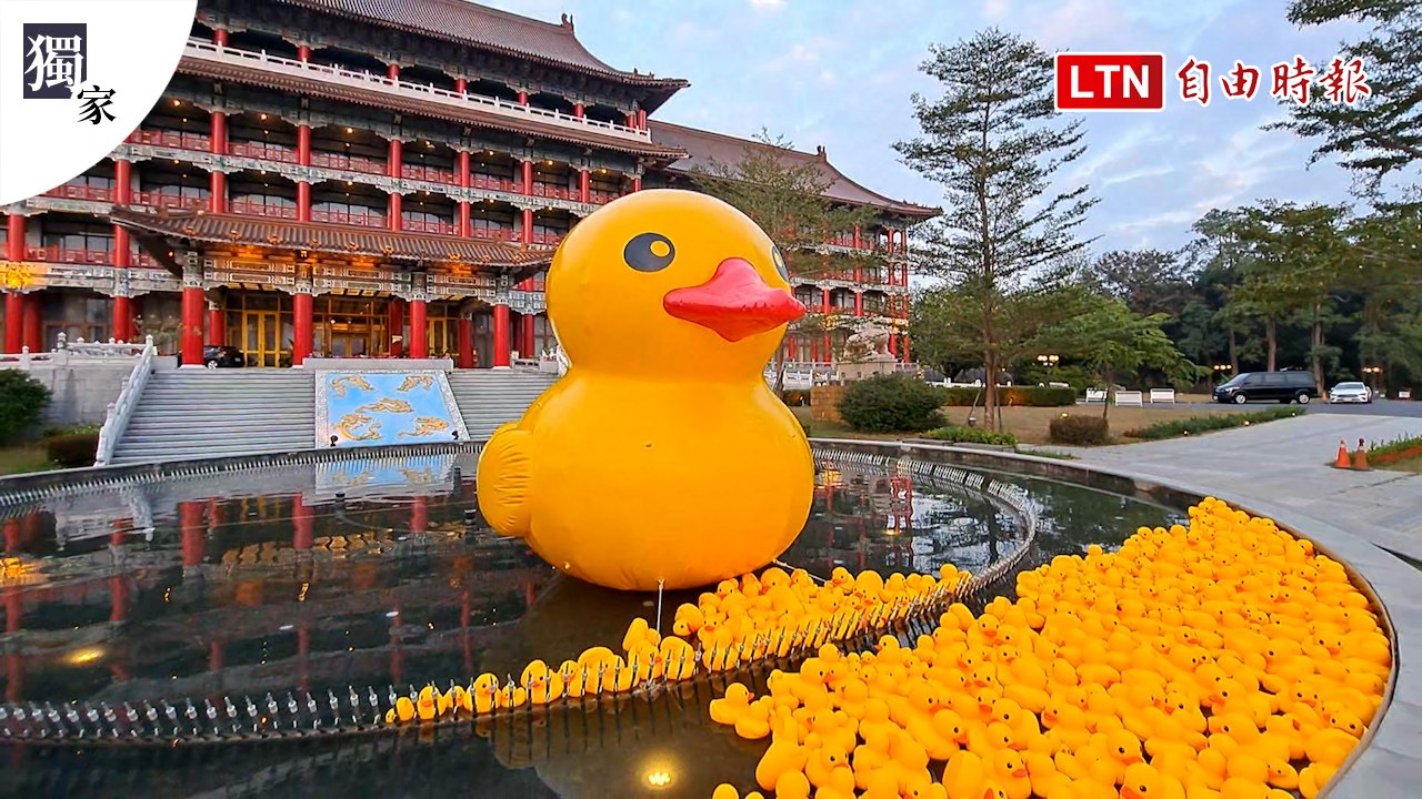 獨家》萌翻！500隻黃色小鴨「霸佔」高雄圓山飯店