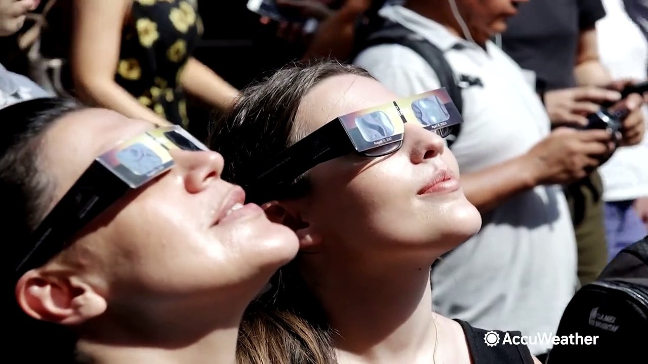 How a solar eclipse can affect animals