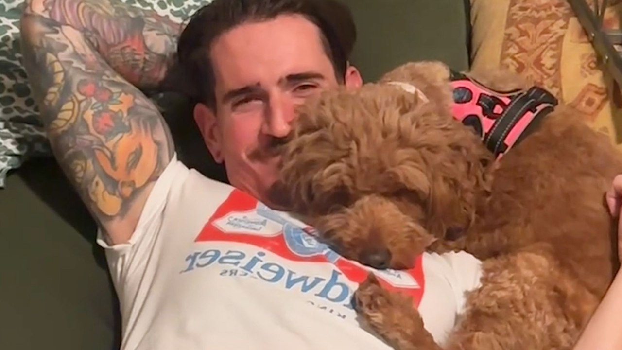 Goldendoodle Rescued From Puppy Mill Completely Transforms