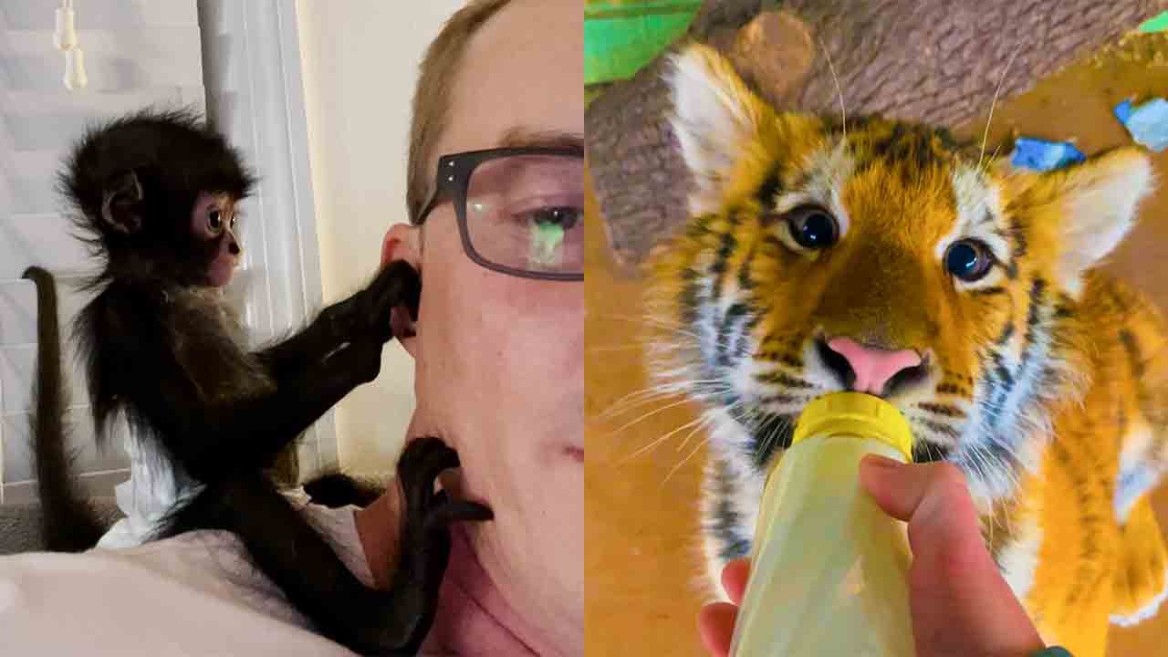 Animals and Humans Unite in Pure Joy!  || Heartsome