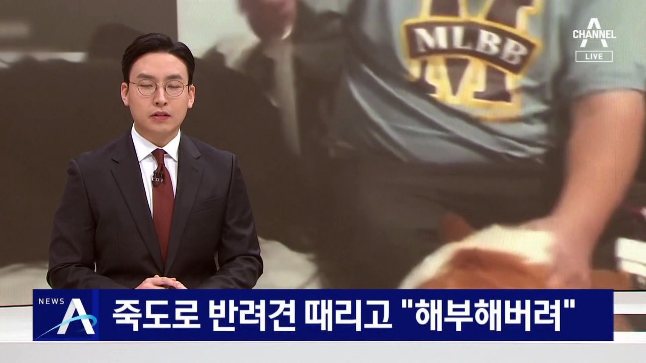 죽도로 반려견 때리고 “해부해버려”