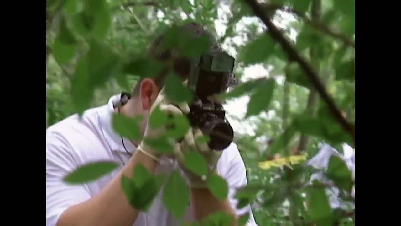 Meurtre À New York _ Sur La Route Sanglante D'Un Tueur _ Nouveaux Détectives _ T