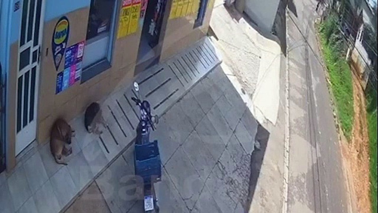 Câmera flagrou carro que atropelou menino em Rio Branco do Sul