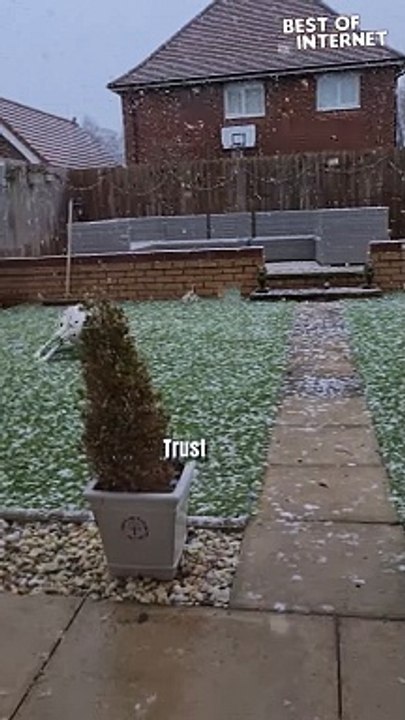 Dalmatian's First Snow Encounter! ️ || Best of Internet