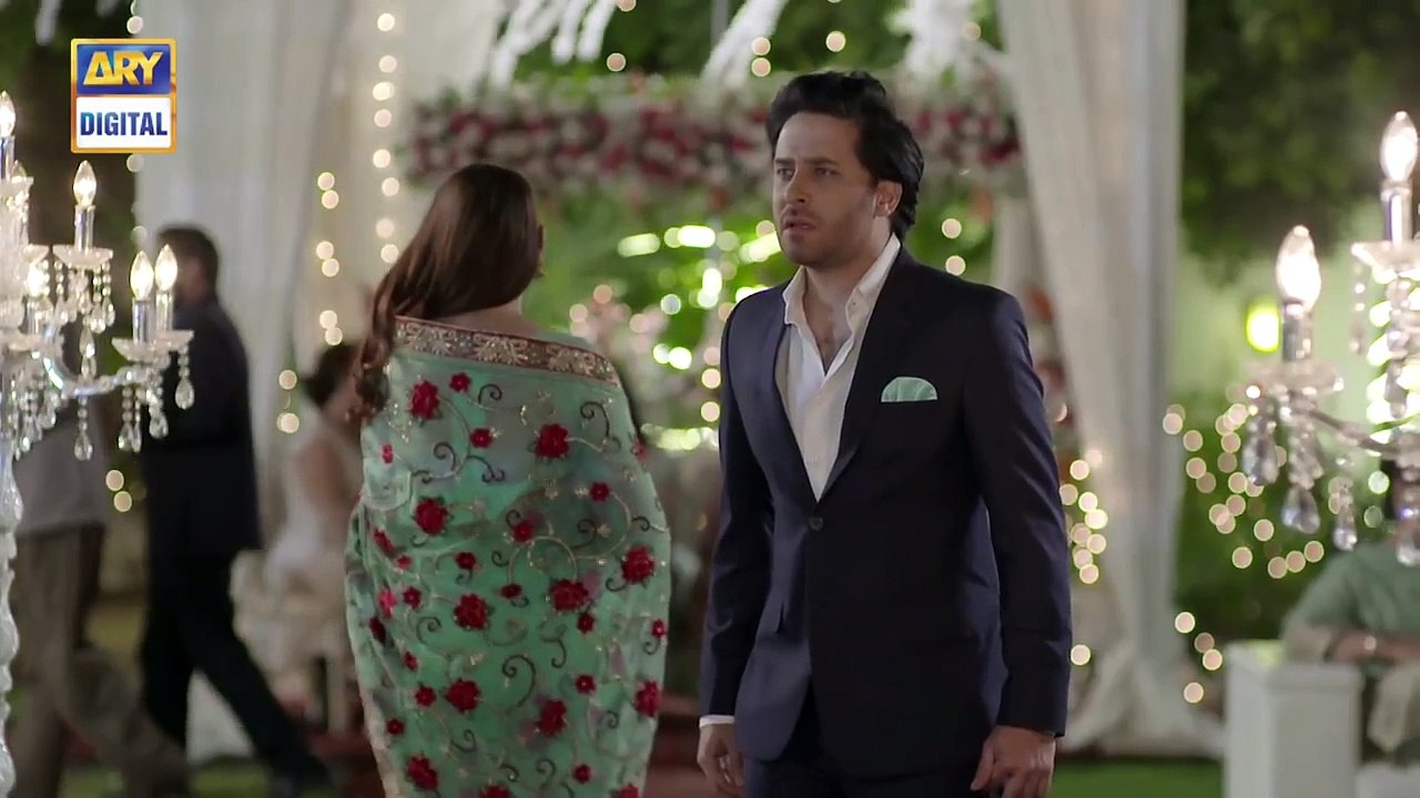 Do Bol Episode 19 _ Affan Waheed _ Hira Salman _ English Subtitle _ ARY Digital