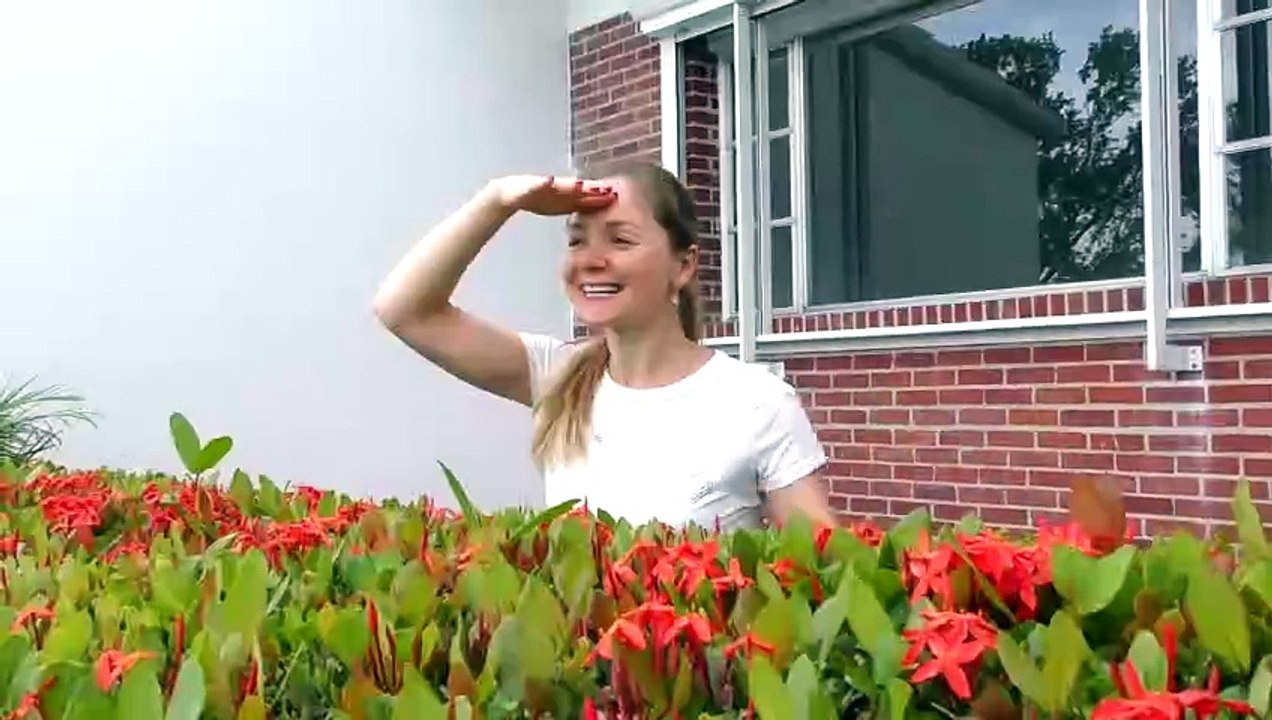 Hello Hello song for kids by Diana