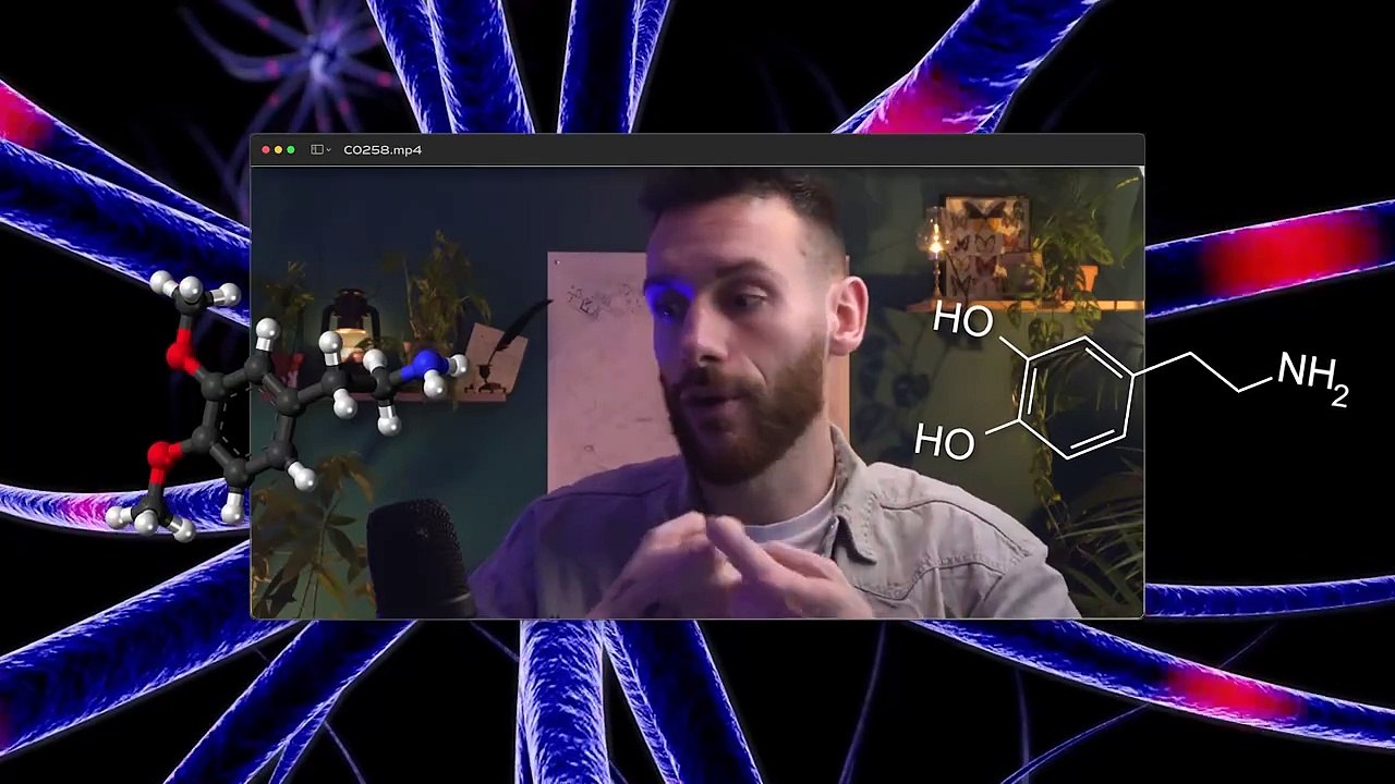 La DOPAMINE n'est pas totalement celle que vous croyez