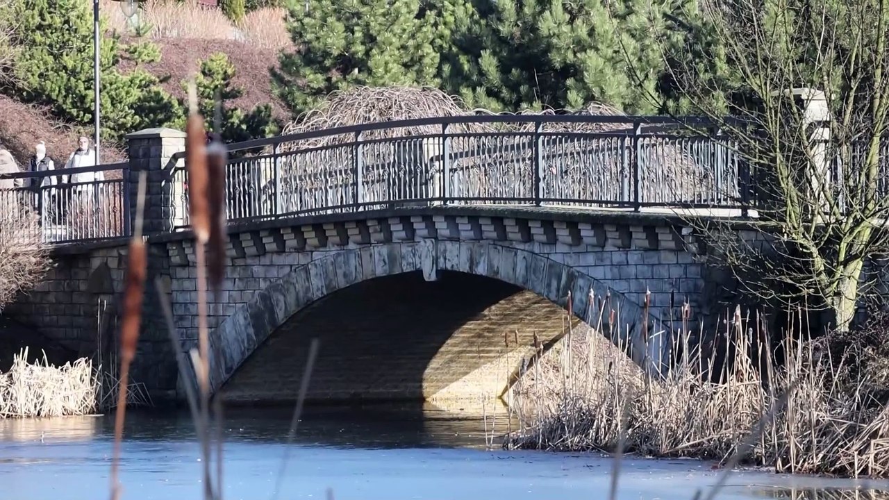 Staw Amelung w Chorzowie: Idealne miejsce na ciepłą zimę 🌊
