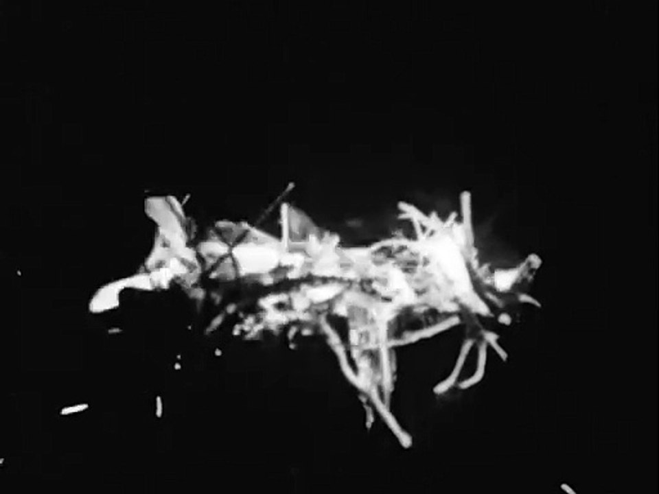 This is my land Ben Rivers