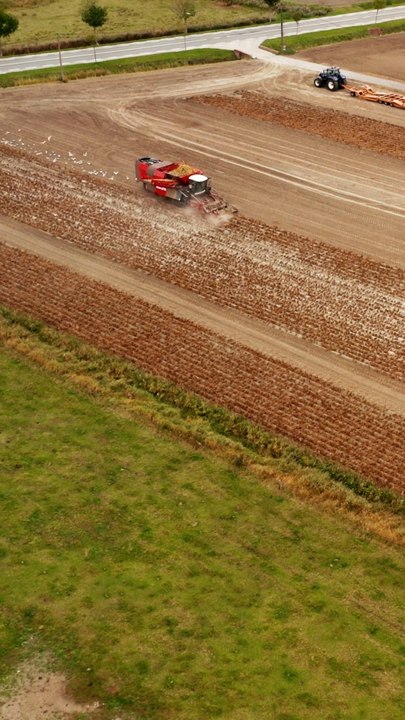 News : autonomie alimentaire