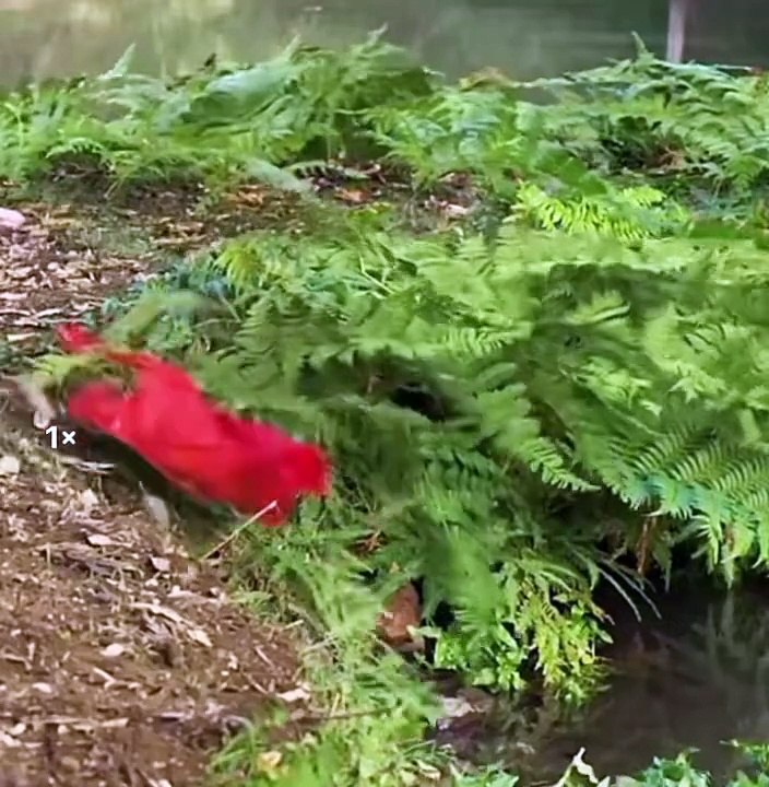 _ movie scene #moviescenes #movieclipschallenge #trendingnow #viral #movies #movielines #movienight#l #movienetflix #movielo... #bestscene #tvshow #film #lifeqoutes #hollywoodmovies #actionmovies #doglover #pets #tvseries #netflix #netflixseries