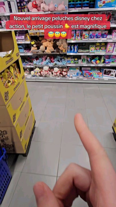 Nouvel arrivage peluches  disney chez action #disney #magasinaction #action #peluches #stitch #dumbo #winny