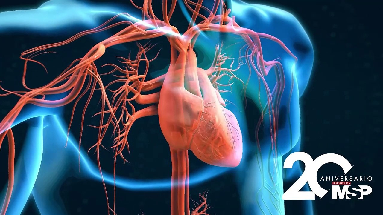 ¿Cómo funciona la furosemida?