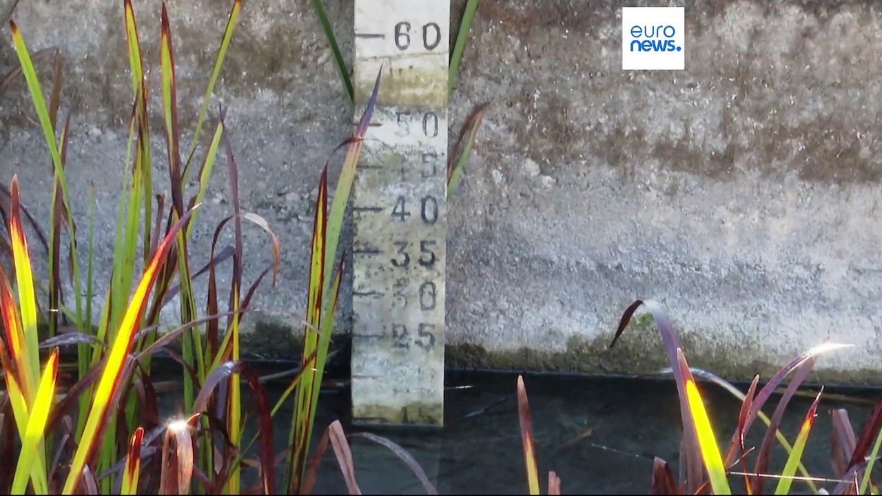 Сильная засуха - угроза продовольственной безопасности