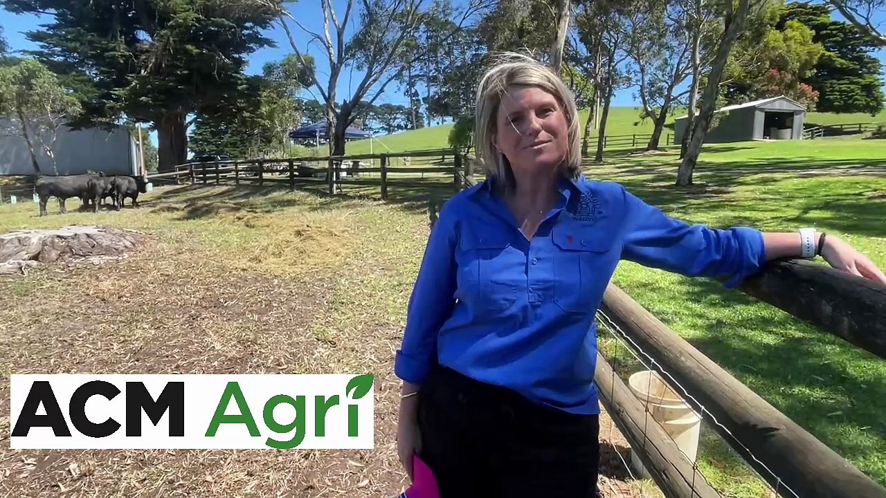 Beef Week Day 2 - Feb 4 - Stock Journal