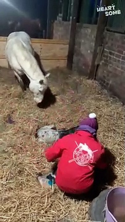 Woman Meets Her First Homebred Foal! || Heartsome 