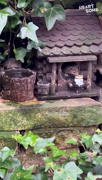 Whimsical Miniature Mouse House in the Garden! || Heartsome 